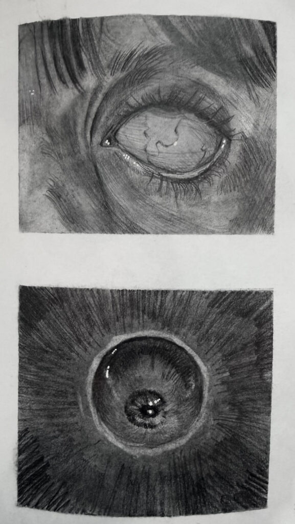 Charcoal drawing studies of eyes by Emily Mietus - detailed close-up eye sketch and radial iris study
